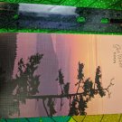 Sunshine Card Unused Vintage Get Well Soon Tree, Sunset