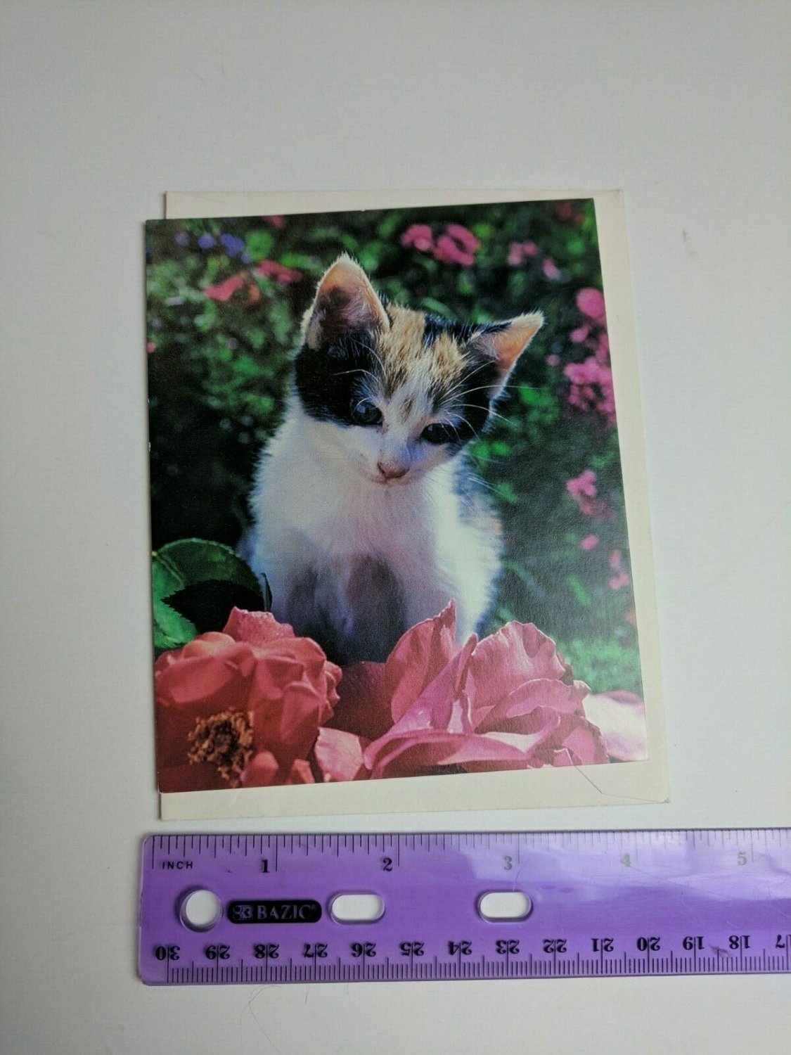 Current Inc Cuddly Kittens Blank Note Card C. Place Photo Calico Kitten