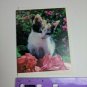 Current Inc Cuddly Kittens Blank Note Card C. Place Photo Calico Kitten