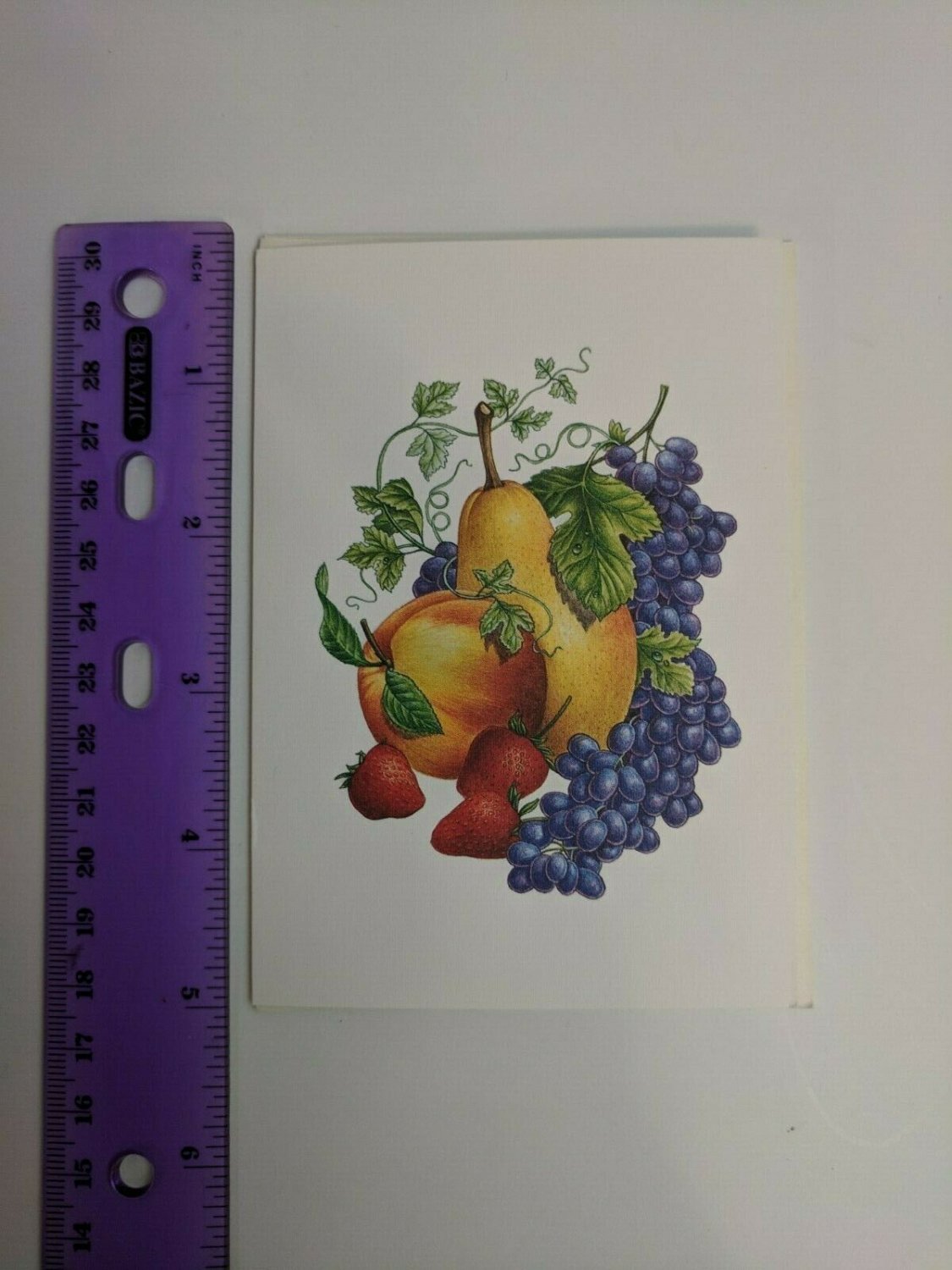 Current Inc Blank Greeting Card Roman Harvest Fruit by Donald Two Otter