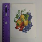 Current Inc Blank Greeting Card Roman Harvest Fruit by Donald Two Otter