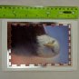 St. Joseph's Indian School Eagle Lakota People Blank Greeting Card Unused