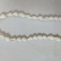 Real Seashell Shell Necklace Sea Snail Monetaria Moneta Money Cowry Coffee Bean