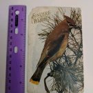 Vintage 1900s Used Postcard Bird on Branch Sincere Wishes Highland WI PM