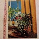 Sunshine Card Foliage Plants & Oil Lamp Unused Vintage 1970's Get Well Religious