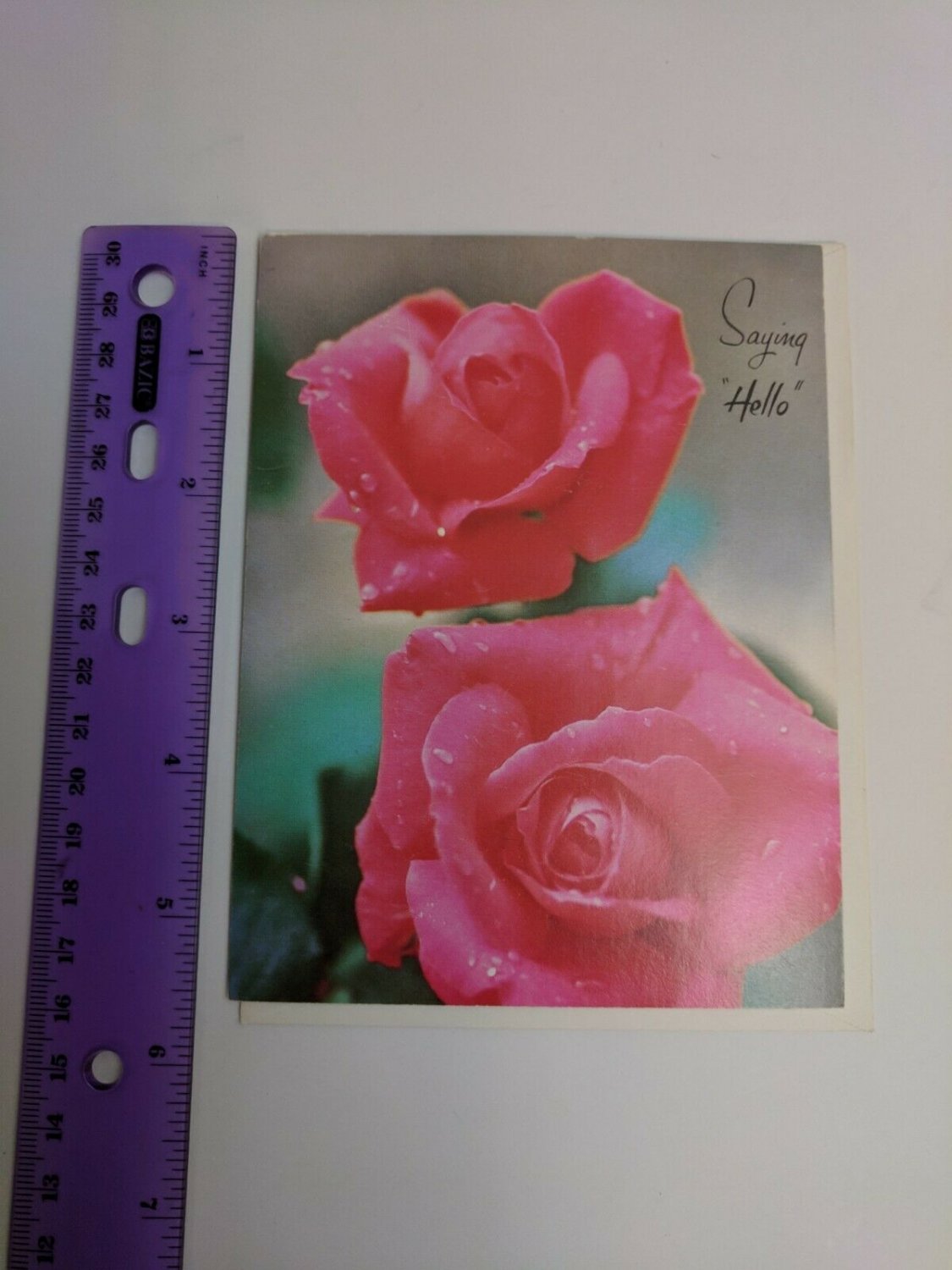 Paralyzed Veterans PVA Saying Hello Vintage Note Card Pink Roses