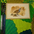 GJC Feathered Friends Unused Vintage Card Mountain Quail Bird