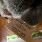 Commonwealth Hug A Plush Gray Plush Teddy Bear NWT