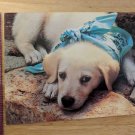 Golden Labrador Retriever Puppy Dog in Bandana Blank Note Card Unused Vintage