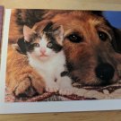 Kitten & Puppy Dog Photograph Blank Note Card Unused Vintage Ron Kimball