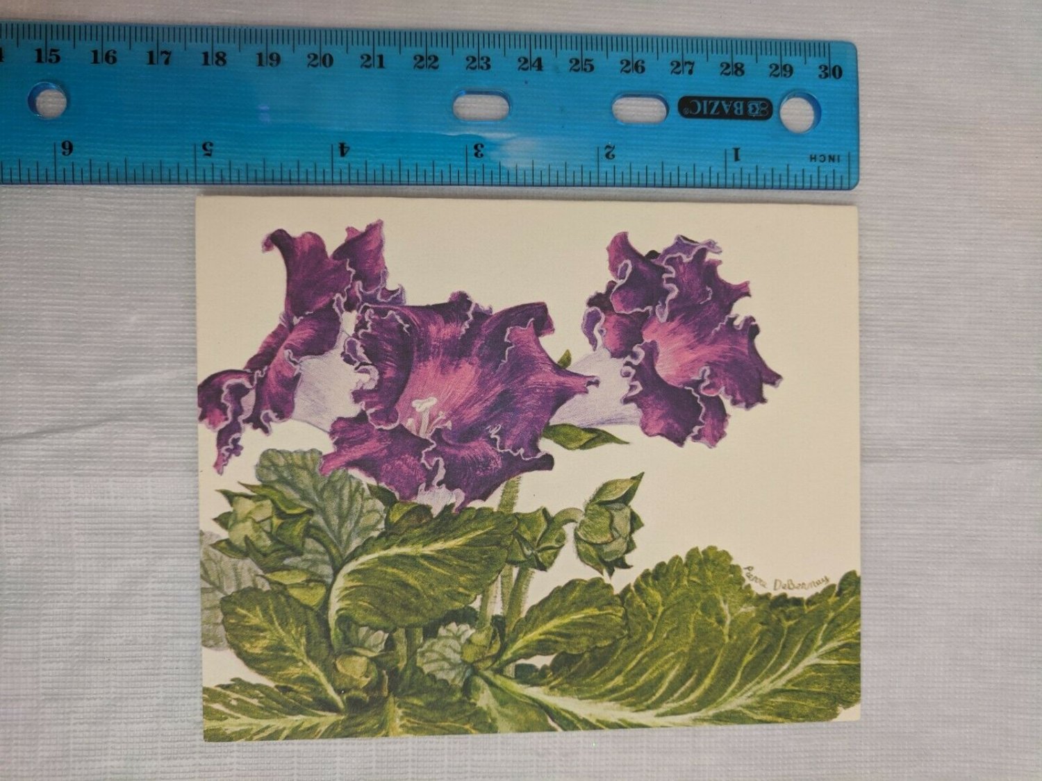 Current Inc Indoor Plant Blank Note Card Gloxinia Sinningia by Pierre DeBerney