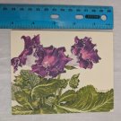 Current Inc Indoor Plant Blank Note Card Gloxinia Sinningia by Pierre DeBerney