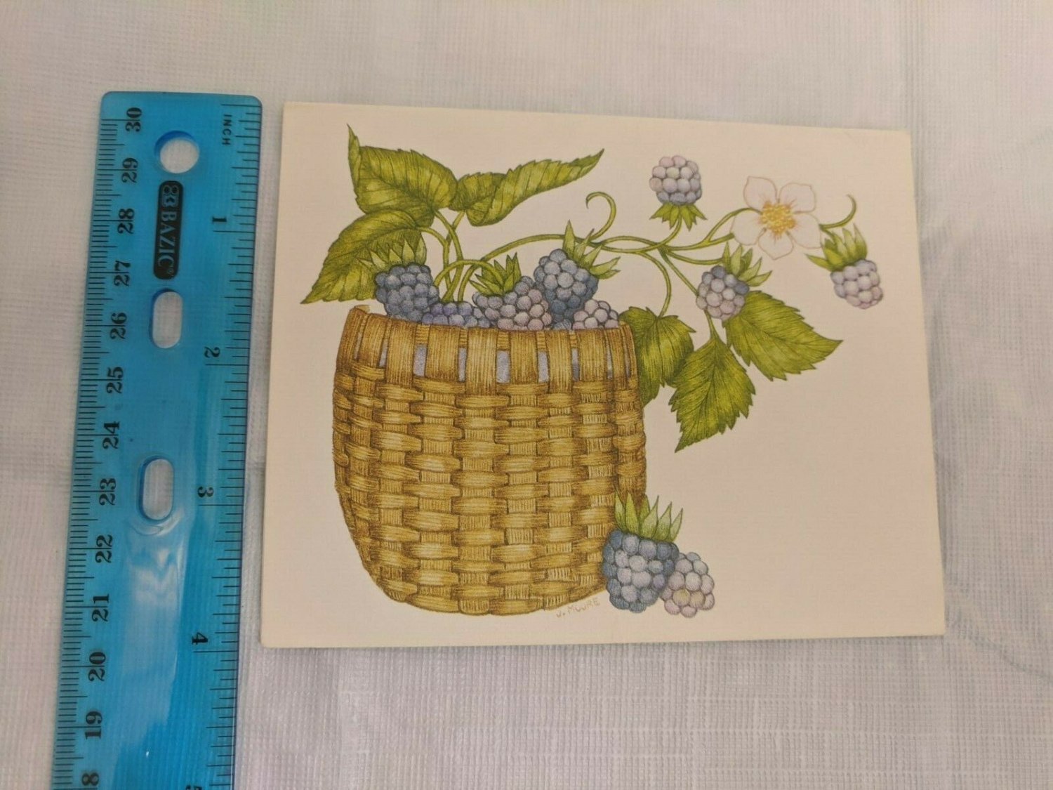 Current Inc Fresh Fruit Baskets Blackberries Blank Note Card