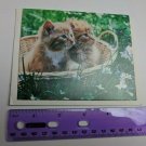 Current Inc Cuddly Kittens Blank Note Card R.C. Hayes Gold Kittens in Basket