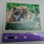Current Inc Cuddly Kittens Blank Note Card R.C. Hayes Gold Kittens in Basket