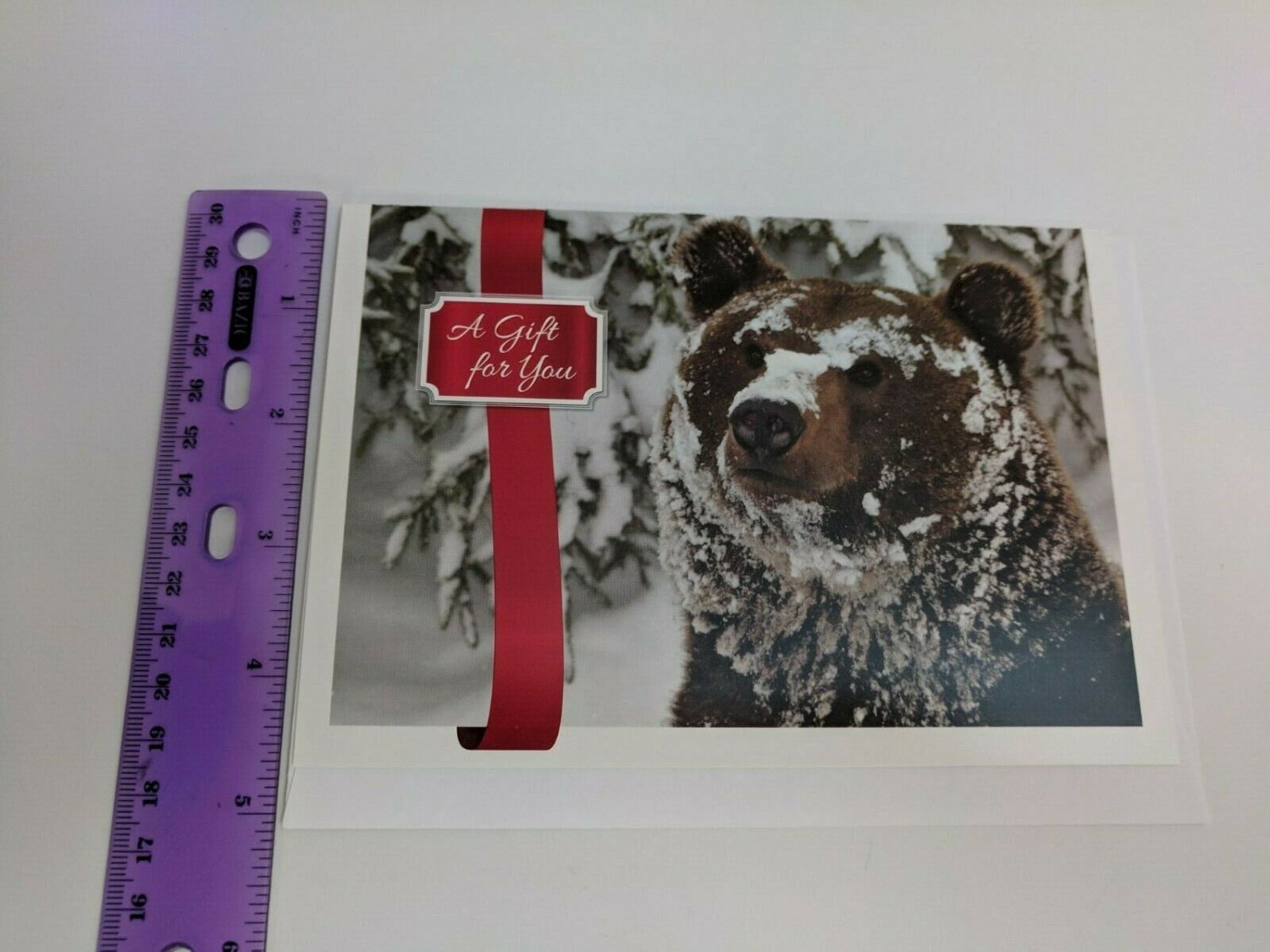 Arbor Day Foundation Give-A-Tree Card, Brown Bear w/ Snow