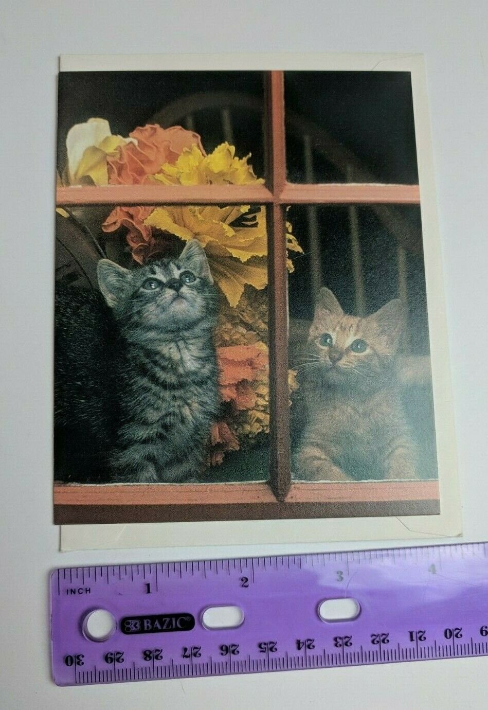 Current Inc Cuddly Kittens Blank Note Card G. Palmer Photo Cats in Window