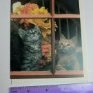 Current Inc Cuddly Kittens Blank Note Card G. Palmer Photo Cats in Window
