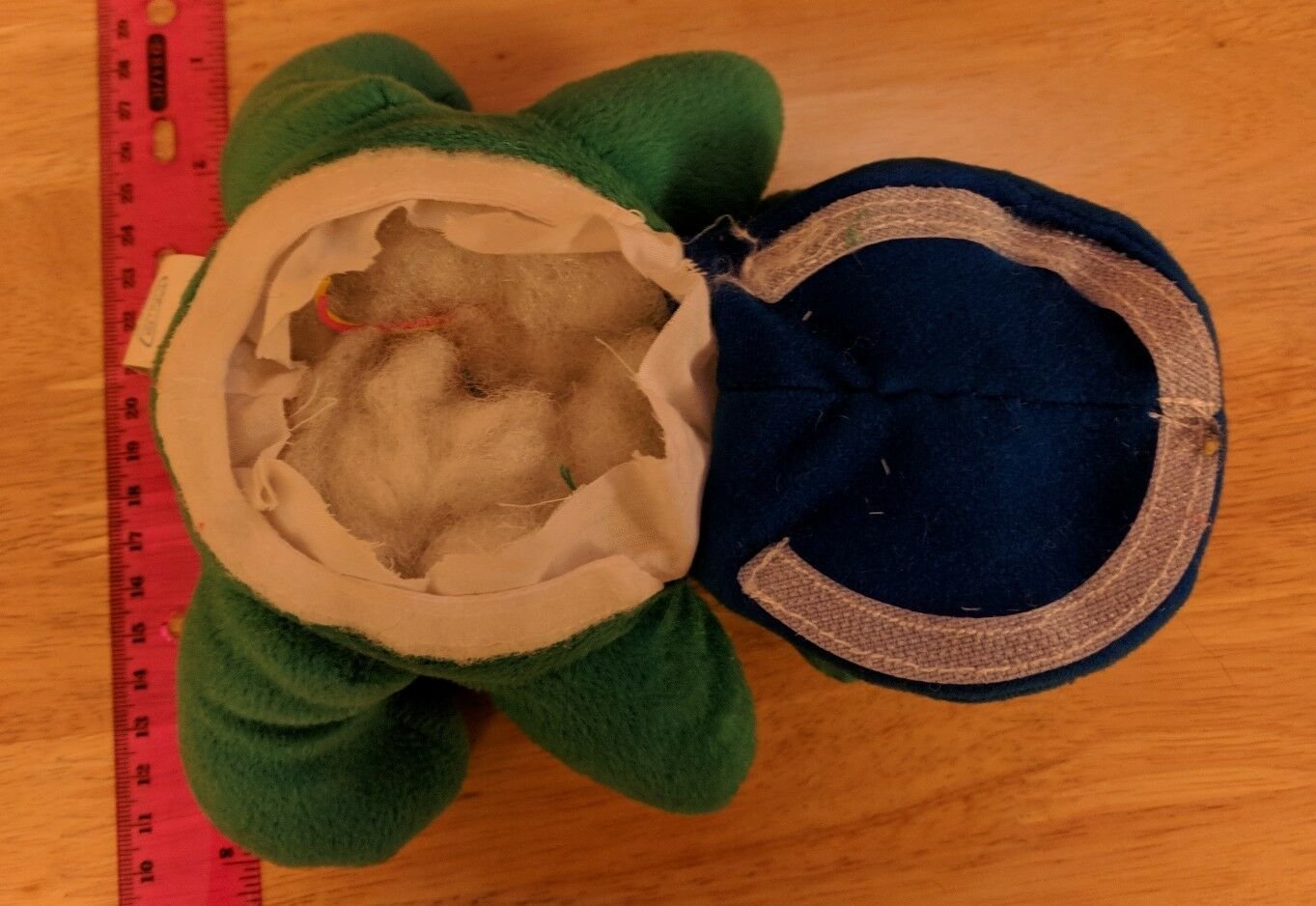 Disney Baby Einstein Turtle Baby Plush 8" Toy Lovey NO SOUND BOX