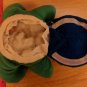 Disney Baby Einstein Turtle Baby Plush 8" Toy Lovey NO SOUND BOX