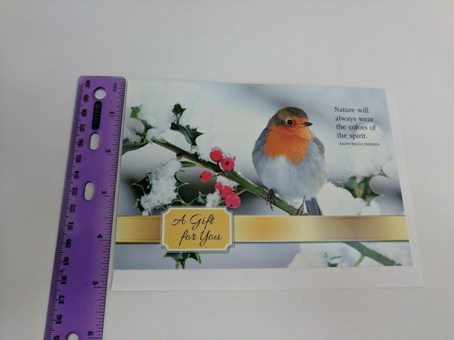 Arbor Day Foundation Give-A-Tree Card, Bird on Snow-covered Holly Branch