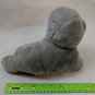 Ty Classic WIGGY the Gray Seal Medium Buddy 9" Size NO TAG