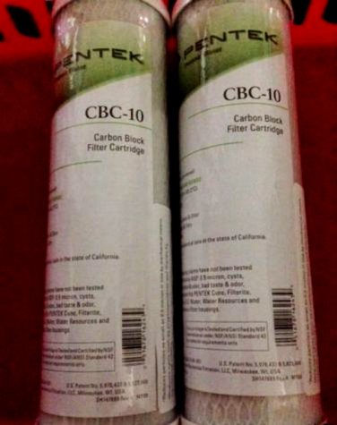 New Pentek CBC-10 Carbon Block Filter Cartridge 9 3/4" x 2 7/8" 0.5 Micron 2 Pack 155162-43 White