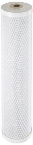 Pentek CBC-20BB Carbon Block Filter Cartridge, 20" x 4-5/8", 0.5 Micron