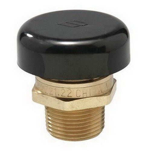 Watts LFN36M1 3/4" Lead Free Vacuum Relief Valve (0556031)