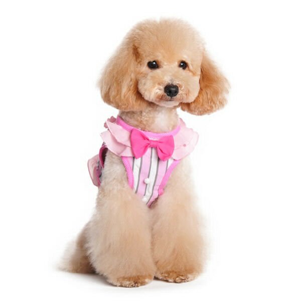 Dogo SnapGO Sweetbow Lady Harness - Pink