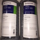 2 Pk 10 Micron 10 x 4.5 Whole House Carbon Water Filter Pentek NCP-BB155398-43