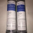 2PK Pentek FloPlus-10 10", 0.5 Micron Carbon Block Cartridge 455903-43