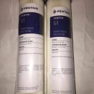 2 PK Pentek S1 20 Micron Standard 10 x 2.5 Inch Pleate Sediment Filter 155001-43