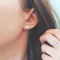 Nautilus Stud Earrings