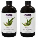 2 Pack Eucalyptus Essential 100% Pure Oil 16 oz By Now Foods