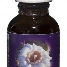 Flower Essence Services Saguaro Herbal Supplement - 1 fl oz