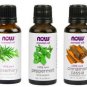 NOW Essential Oils 1 fl. oz 30 ml 3 Pcs Set Rosemary,Cinnamon Cassia,Peppermint