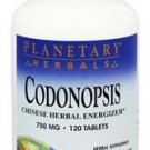 Planetary Herbals Codonopsis 750 mg 120 Tablet 120 tab