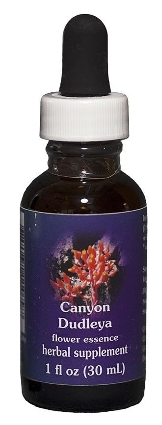 Flower Essence Services Canyon Dudleya Herbal Supplement - 1 fl. oz