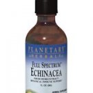 Planetary Herbals Full Spectrum Echinacea Herbal Supplement - 1 fl oz