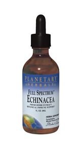Planetary Herbals Full Spectrum Echinacea Herbal Supplement - 1 fl oz