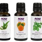 3 Pack Now Foods Mental Focus Oils: Eucalyptus, Tangerine, Peppermint