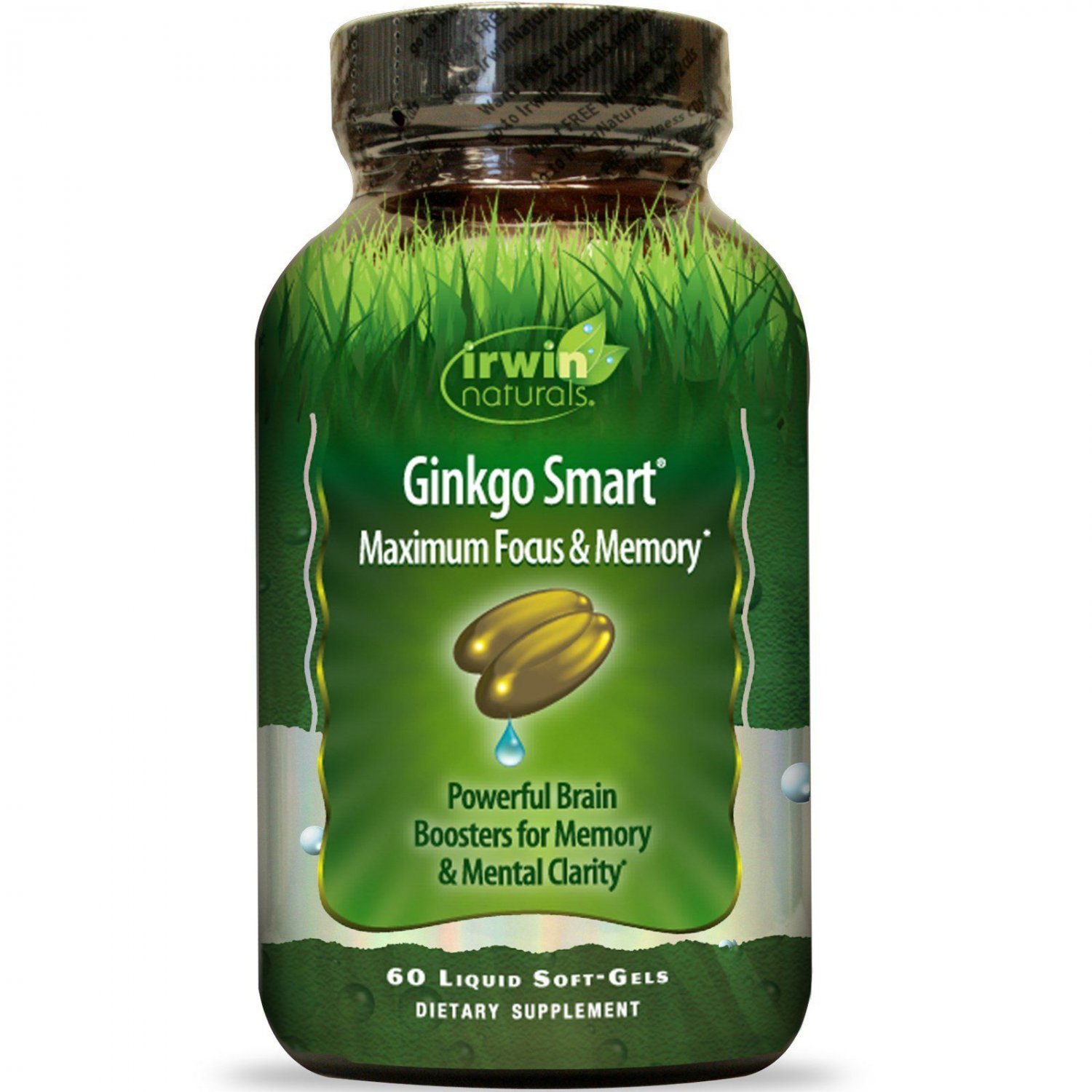 Irwin Naturals, Ginkgo Smart, Maximum Focus & Memory - 60 Softgels