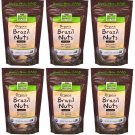 6 pack NOW Real Food - Brazil Nuts (Unsalted, Whole, Raw, Organic) - 10 oz