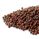 Broccoli Sprouting Seeds Organic - Brassica oleracea italica 1 lb(Starwest Bo...