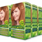Naturtint Permanent Hair Color - 7C Terracotta Blonde 5.28 fl oz (6-pack)