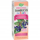 Natures Way Sambucus Kid Syrup Berry (2 Pack)