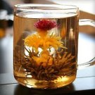 Christmas Tree Flowering Tea by Starwest