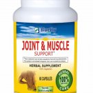 Blue Sky Herbal Joint & Muscle Support - Herbal Supplement-A sure remedy for ...