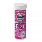 Source Naturals Wellness Fizz Natural Berry Flavor 10 Wafers